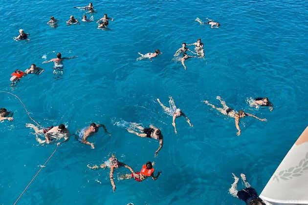 Medusa Cruises 4 uur durende chill-out - schildpadcruise in Protaras