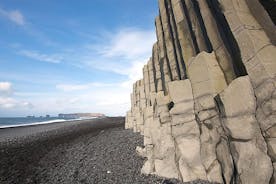 Zuidelijke kust, watervallen en Black Beach dagtour vanuit Reykjavik