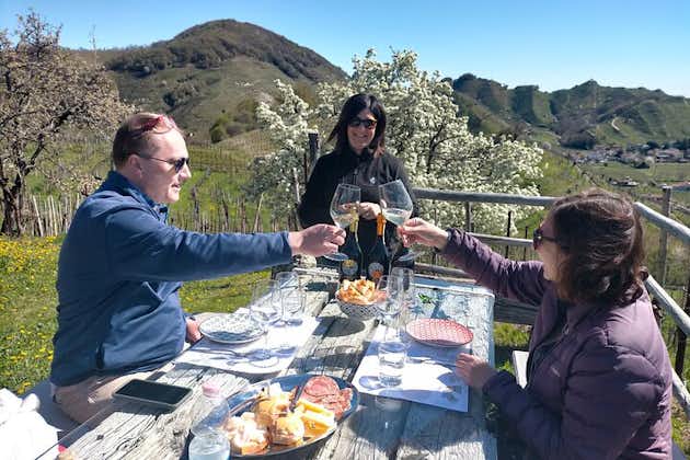Prosecco Tasting and Lunch on the Hills. Private Tour From Venice