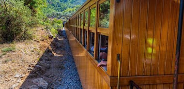 보트 타기와 빈티지 기차로 마요르카 하루 여행 관광