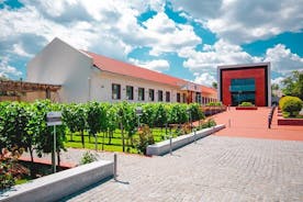Full-Day Shabo Wine Culture Center Private Tour in Odessa
