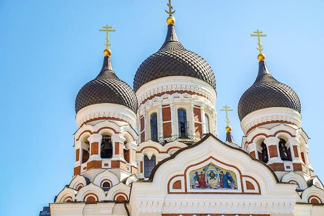 Verken de kunst en cultuur van Tallinn met een local