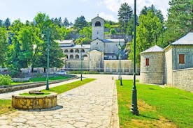 Tour privado: tour de un día por lo mejor de Montenegro