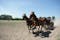 Révbéri Equestrian Center, Solt, Kalocsai járás, Bács-Kiskun, Southern Great Plain, Great Plain and North, Hungary
