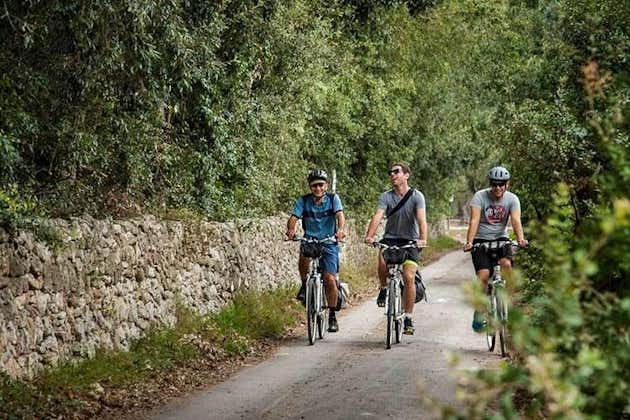 Excursion à vélo d'une journée dans la réserve naturelle protégée de Lecce à Cesine