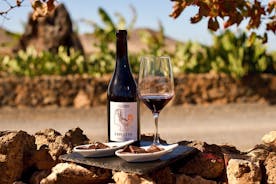 Esperienza di degustazione di vini e cioccolato a Fuerteventura