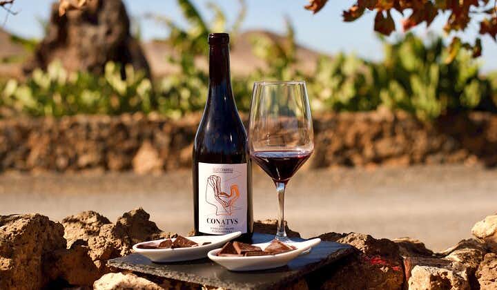 Weingut und Schokoladenverkostung auf Fuerteventura