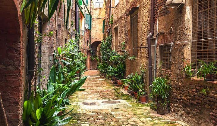 Privétour: geheime wandeltocht door Siena