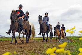 Circuit en Islande avec équitation