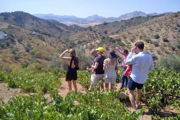 Tour privado de vino de montaña de Málaga de medio día en Colmenar