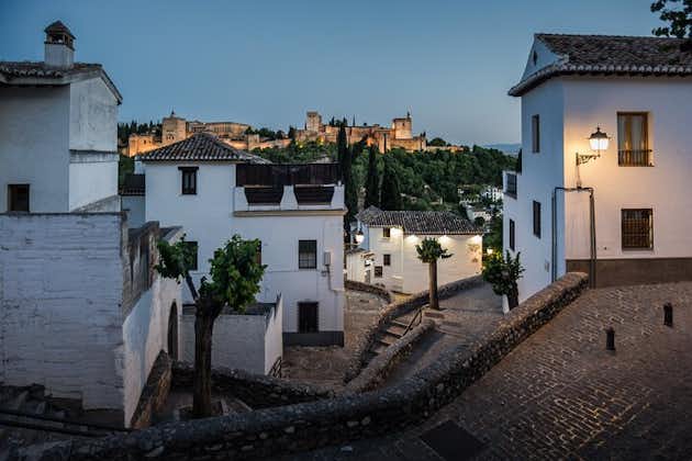 Alhambra med Nazaries Palaces privat tur