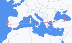 Flyrejser fra Tokat til Lissabon