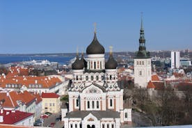 2 tíma gönguferð með leiðsögn um Tallinn