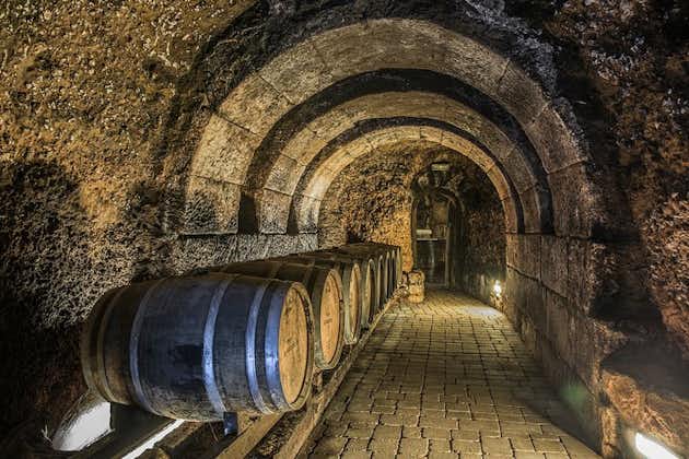 Visite privée de la cave La Rioja avec dégustation de vins et déjeuner