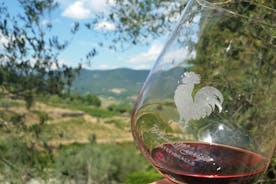 Greve in Chianti -viininmaistelu ja viinitilakierros