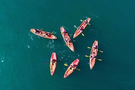 3 horas de kayak en la bahía de Kotor en Montenegro