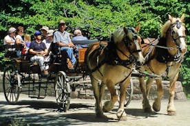 Gourmet tour with horse-drawn carriage & Optional Visit a Wildlife Observatory