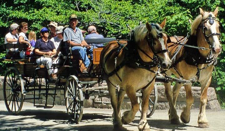 Tour gastronomico con carrozza trainata da cavalli e visita facoltativa a un osservatorio della fauna selvatica
