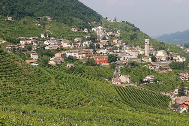 Besichtigung des Prosecco-Weinkellers, Weinprobe, Palladio-Villa, mittelalterliches Dorf