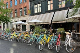 素晴らしいコペンハーゲンのガイド付き自転車ツアー