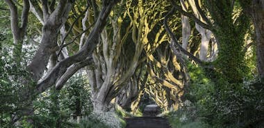 “Game of Thrones” and Giant's Causeway Full-Day Tour from Belfast
