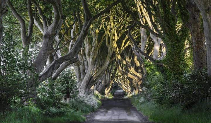 Game of Thrones und Giant's Causeway - Ganztägige Tour ab Belfast