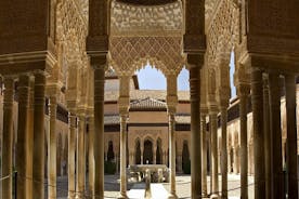 Excursão particular/para grupos pequenos em Alhambra e Palácios Nasrid sem filas