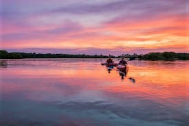 Kayak côtier guidé au coucher du soleil et saut d'île en île à Galway
