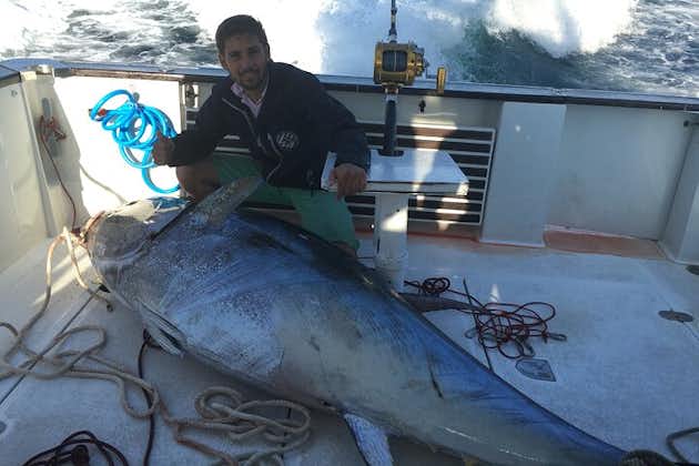 Full Day Private Fishing for Giant Tuna