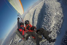 Paragliding tandemvlucht vanuit Bunloc, Brasov