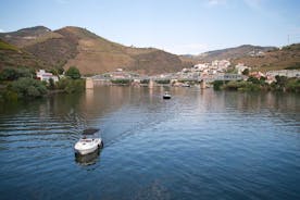 Douro River Cruise - Privat River Cruise - Pinhão 1 timme