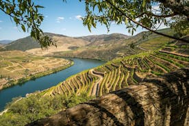 Private Full Day Tour in the Douro Valley