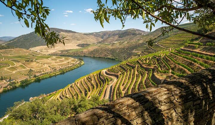 Private Full Day Tour in the Douro Valley