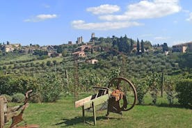 PRIVATE TOUR "Sweet Hills of Chianti and San Gimignano" mit Mittagessen & 2 Verkostungen
