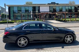 Private Day with English Speaking Chauffeur at Florence Outlet