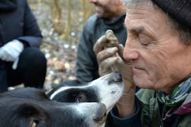 Truffle Hunting in Alba and Barolo Tasting Tour in Piedmont
