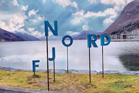 ノルフィヨルドのプライベート海岸ツアー、氷河、スカイリフト乗車