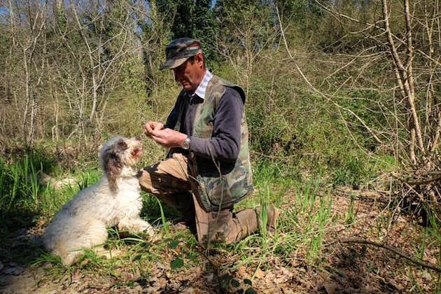 Private Truffle Hunt in Tuscany