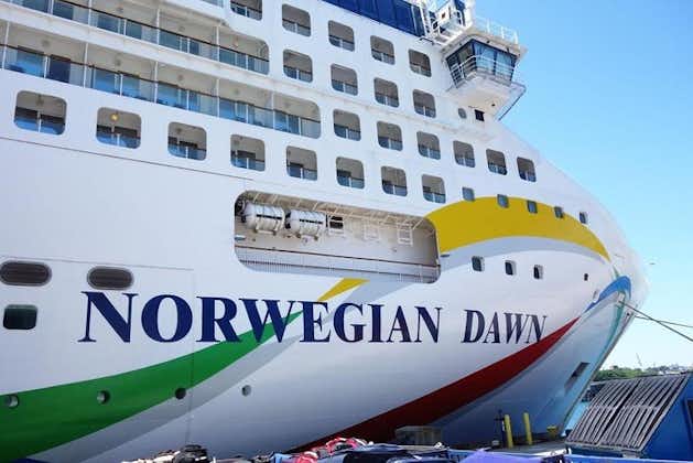 Traslado privado Norwegian Dawn, terminal de cruceros del puerto de Venecia, aeropuerto Marco Polo