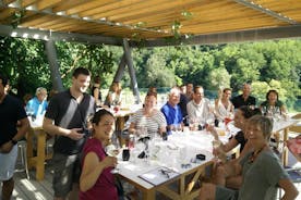 Vin & mer Tour, privat guidad vintur från POREC, UMAG, Istrien