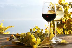 Tour de vino de medio día para grupos pequeños en Madeira