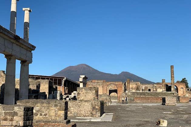 Pompeii og Herculaneum i privat formel