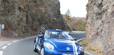 Utflukt i Cabriolet Beetle på Gran Canaria