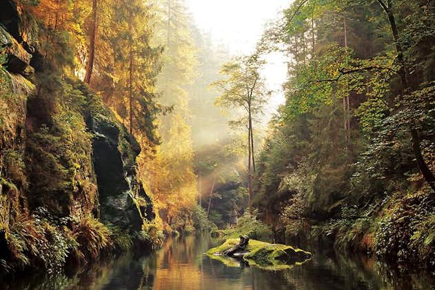 Full-Day Private Hike in Czechia and Saxon Switzerland