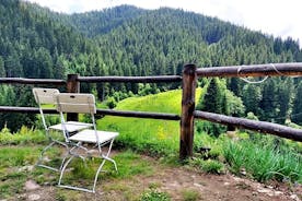 Expérience de tyrolienne et de via ferrata dans les montagnes des Rhodopes