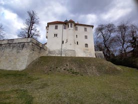 Pišece Castle