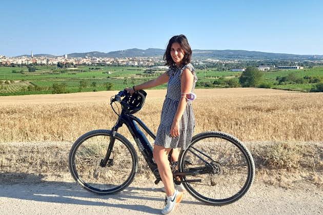 从巴塞罗那出发：在拥有2家葡萄酒厂的葡萄园中进行电动自行车之旅