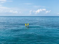 Snorkeling tours in Saronic Gulf Islands, Greece