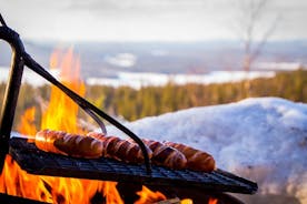 Wandeling naar bevroren watervallen van Korouoma inclusief BBQ-lunch vanuit Rovaniemi
