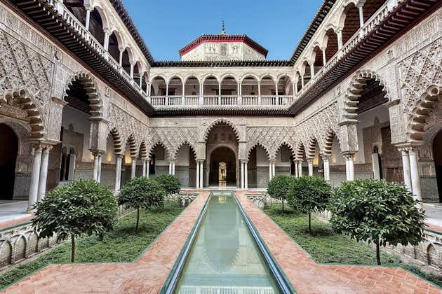 Full-Day Private Guided Cultural Tour of Seville from Granada